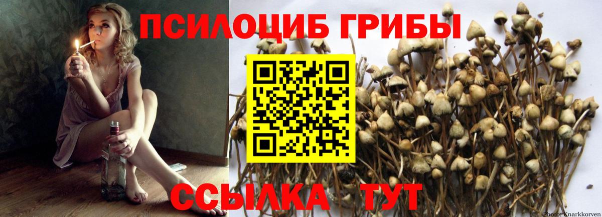 Галлюциногенные грибы MAGIC MUSHROOMS Воронеж